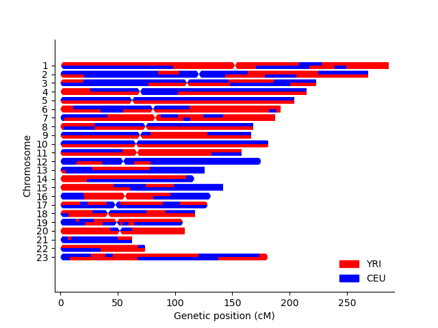 Example karyogram